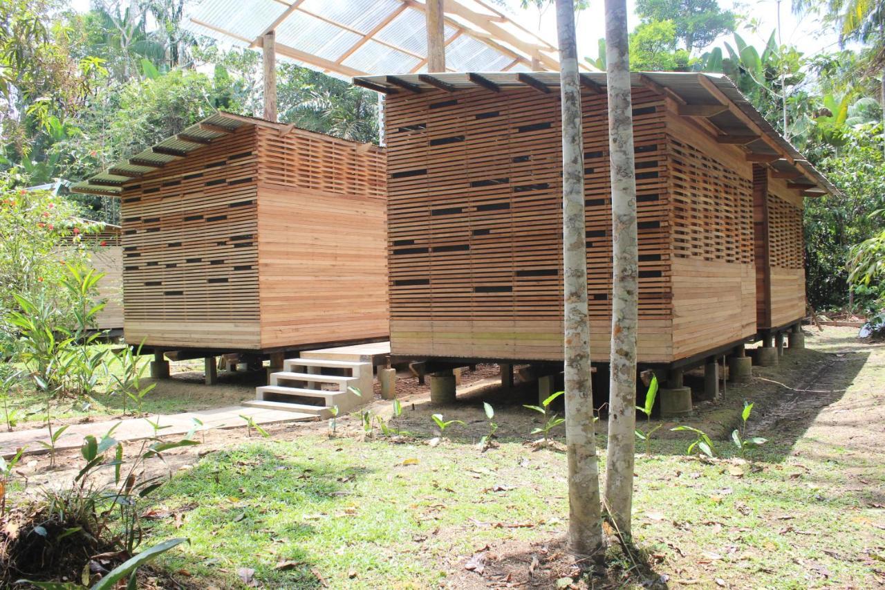 Palmayacu - Refugio Amazonico Leticia Exterior photo